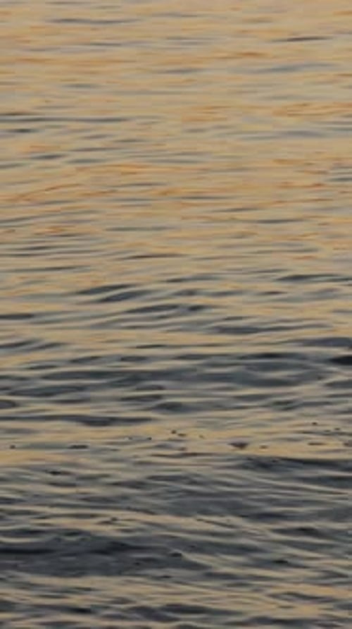 Gentle Ripples on a Goldenhued Water Surface Create a Serene and Calming Visual Vertical Video