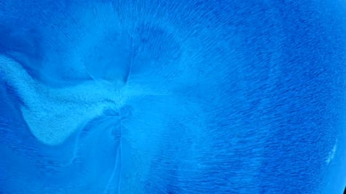 Abstract Blue Swirling Vortex Pattern