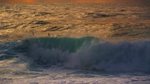 Large Waves Storm Ocean View. Birds Seagulls Flying Over Stunning Morning Sea