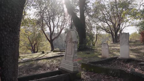 Ornate Headstones Bring Honour to Deceased in Jacksonville Cemetery in Oregon - 4K