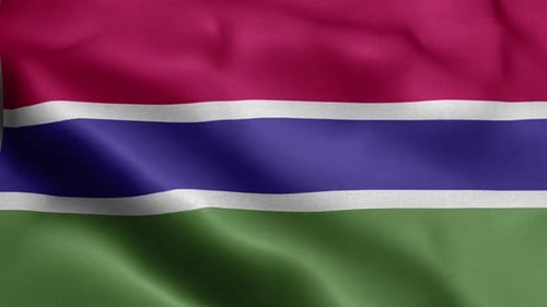 Realistic Waving Flag of The Gambia Fabric Loop