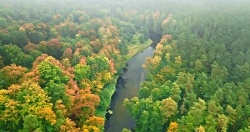 River and colorful forest in autumn. Aerial view of wildlife