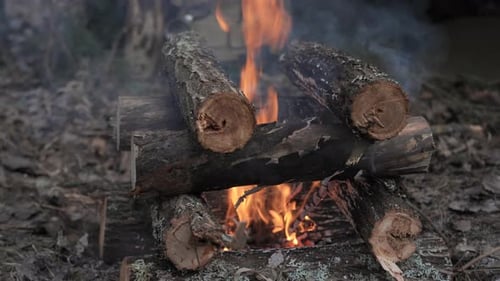 Closeup of Campfire with Burning Logs