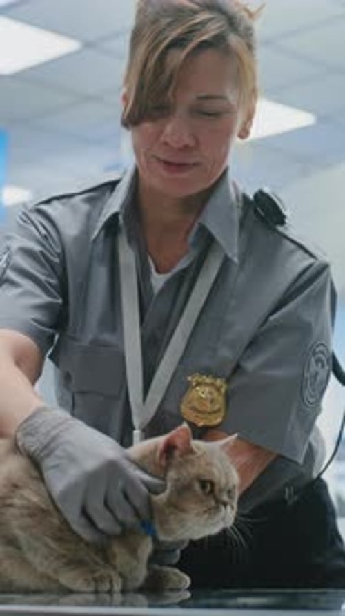 Teenage Girl with Pet at Security Checkpoint Female Security Officer Inspecting Cat
