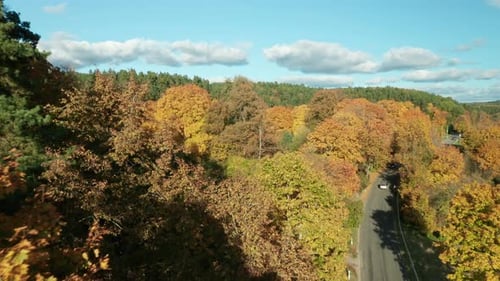 AERIAL: cars driving on a road in a colorful forest in autumn