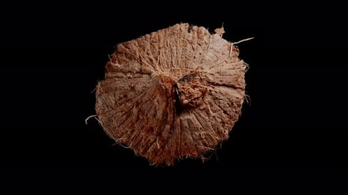 Close Up Coconut Piece Rotating on Black Background