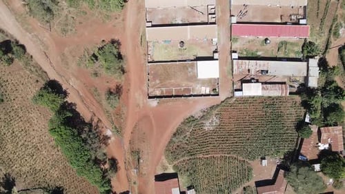 Farmland homestead on corn plantations in Southern Kenya, aerial top down
