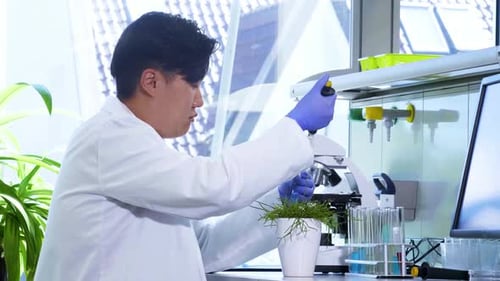 Scientist Conducts Experiment on Plant in Laboratory