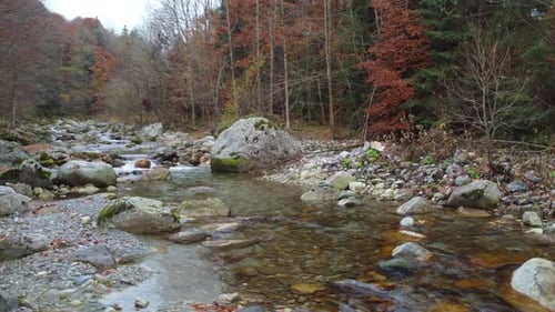 River in mountain forest at autumn foliage aerial view