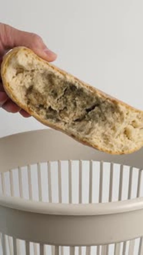 03vert 1A loaf of moldy bread is thrown into the trash. Disposal of bread.