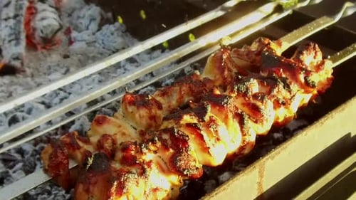 Outdoor Shashlik Barbecue on Brazier