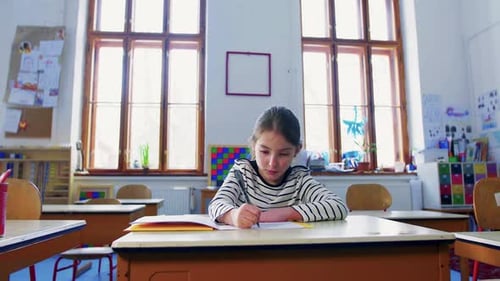 A Small Girl at the Desk at School, Writing