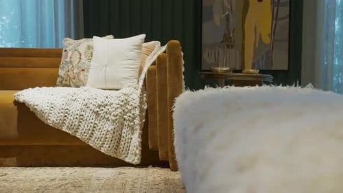 Stylish Home Interior with Sofa and Throw Blanket