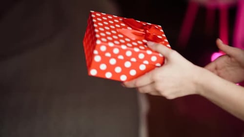 Man and Woman Exchanging a Wrapped Gift