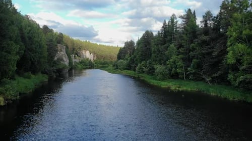 Serene River Flows Through Lush Green Forest Landscape