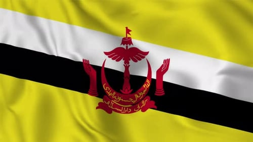 Brunei Darussalam Flag Waving Realistic Loop Animation