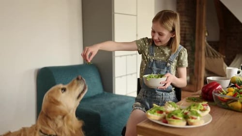 Cute Little Girl is Playing with Golden Retriever Dog