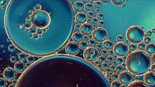 Abstract Colorful Food Oil Drops Bubbles And Spheres Flowing On Water A Surface 71