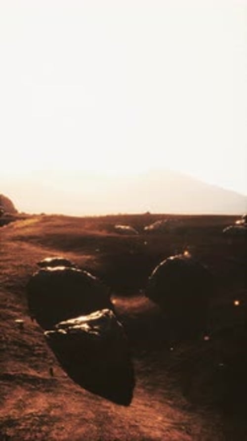 Dirt Road With Rocks Alongside