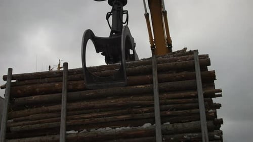 Static view of crane collecting stacked logs. Daylight
