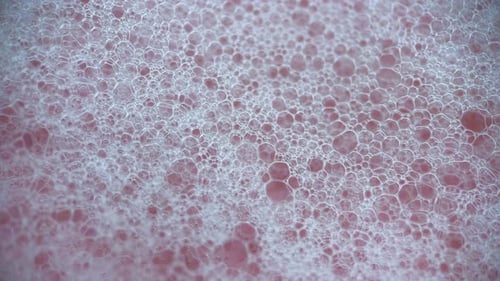 Macro Shot of White Bubbles on Pink Background