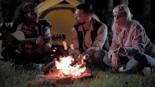 Friends Gather Around Campfire Toasting Marshmallows at Night