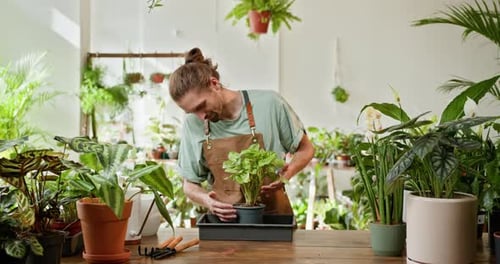 Porträt eines professionellen, selbstbewussten kaukasischen männlichen Floristen im Blumenladen