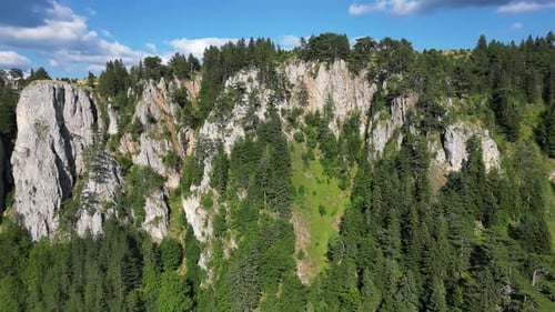 Aerial view of an epic, rocky canyon overgrown with coniferous forest. Durmitor. Montenegro.