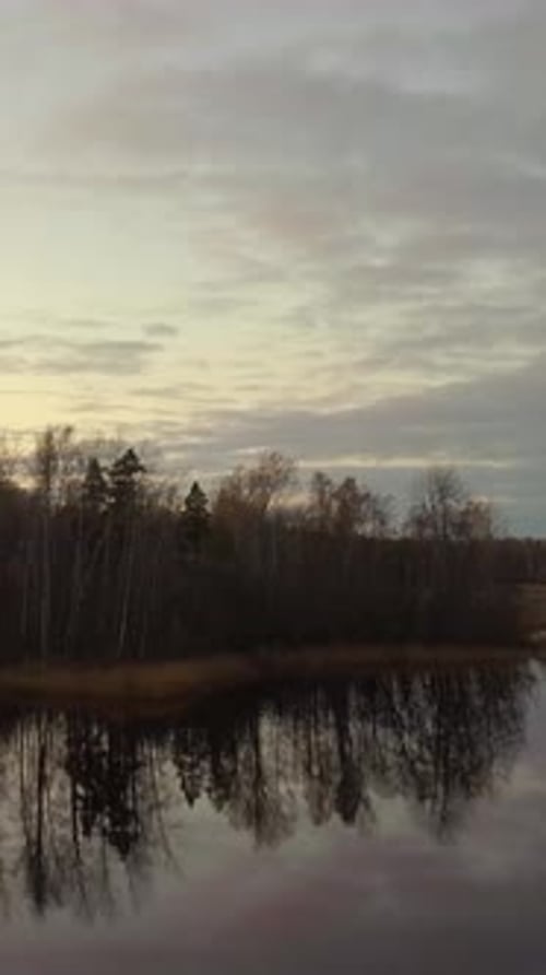 Vertical of Aerial the Morning Drone Autumn Sunrise Reflections on Water Surface and Forest