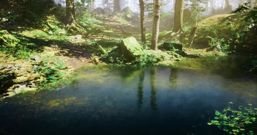 Tranquil Forest Landscape with a Serene Pond and Lush Greenery