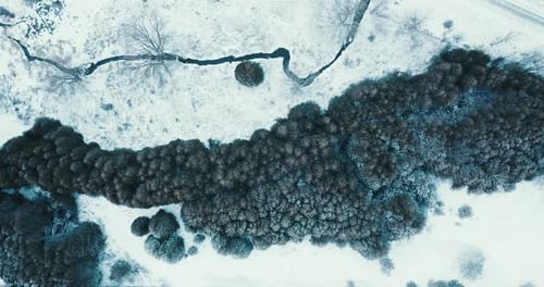 Flying over Beautiful Winter Forest Landscape with Winding River. Aerial Top Down View of Snow Cover