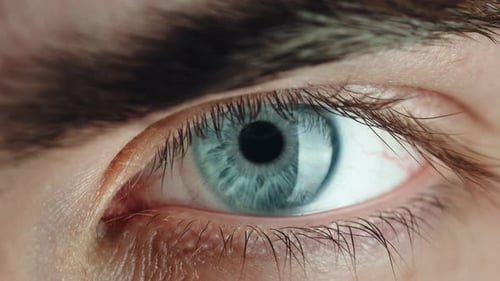 Eye close up, light blue iris