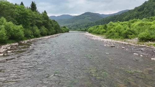 Breiter Gebirgsfluss, der durch den grünen Wald im Tal fließt, Landschaftsblick auf das Flachland