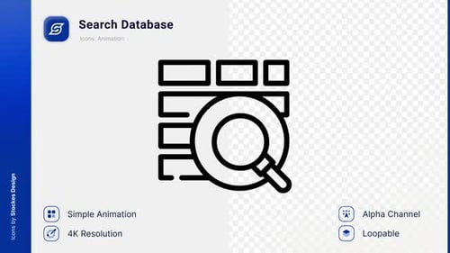 Animation Search Database Icon