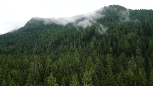 Aerial View of Beautiful Mountain Landscape Fog Rises Over the Mountain Slopes