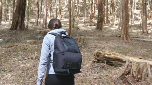 Young Woman Tourist with Backpack Walking in the Forest Female Backpacker Going Through the Wood