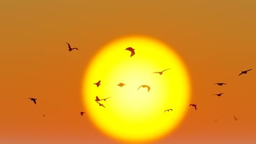 Schwarm Möwen fliegen in Zeitlupe unter dem Sonnenuntergang auf dem Meer