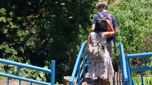 Back View of Young Woman and Man Walking on the Small Steel Bridge in the Jungle