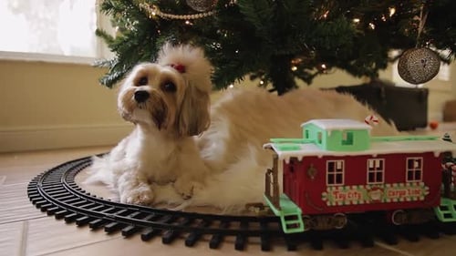 Adorable Puppy Lounging Beneath Christmas Tree