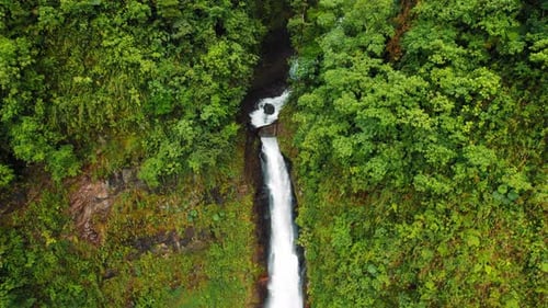 Tall waterfall flowing through dense green jungle in Costa Rica tropical forest