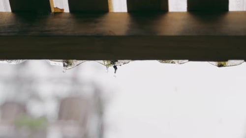 Closeup Raindrops on Garden Plastic Roof