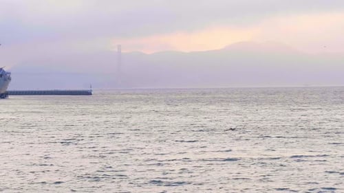 Seagulls Flying Over Ocean At Sunset, Battleship Behind By Aerial Drone