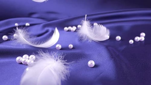 White swan feathers fall on blue plum silk with pearls. Slow motion.