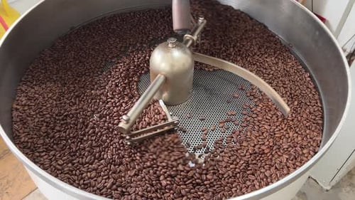 Fresh specialty coffee beans resting on cooling and mixing tray to reduce the heat evenly after roas