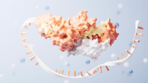 RNA and proteins with biological concept