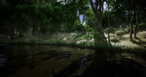 Serene Forest Landscape with a Tranquil Water Body Reflecting Lush Greenery