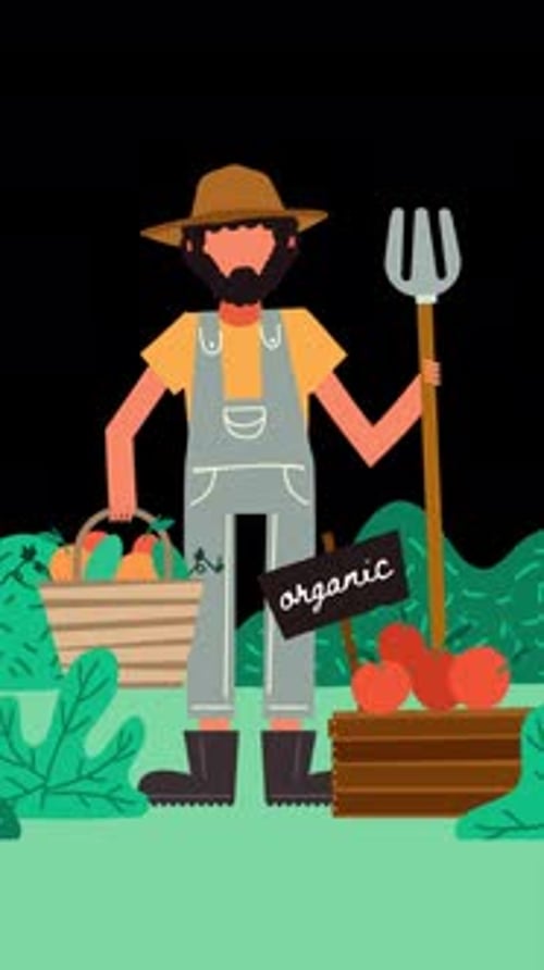 Farmer Holding A Fruit And Vegetable Basket On Vertical On Alpha Channel