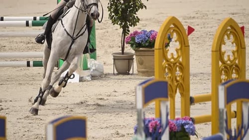 Pferdesport springt auf dem Pferderücken über ein Hindernis