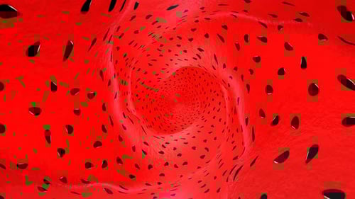 Inside a Watermelon Fruit Tunnel Animation, Background, Loop