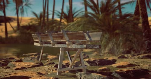 Bancs en bois près de l'eau sereine dans un paysage sablonneux entouré de palmiers